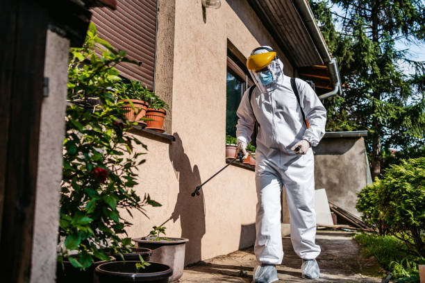 Best Emergency Pest Control  in Maumelle, AR